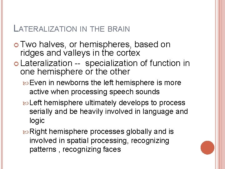 LATERALIZATION IN THE BRAIN Two halves, or hemispheres, based on ridges and valleys in