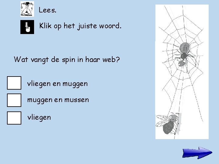 Lees. Klik op het juiste woord. Wat vangt de spin in haar web? vliegen