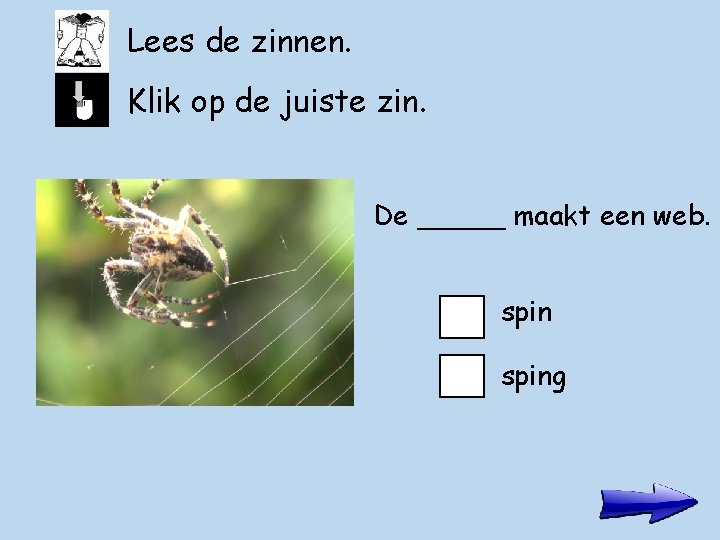 Lees de zinnen. Klik op de juiste zin. De _____ maakt een web. sping