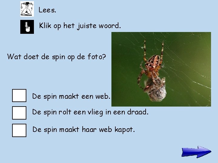 Lees. Klik op het juiste woord. Wat doet de spin op de foto? De