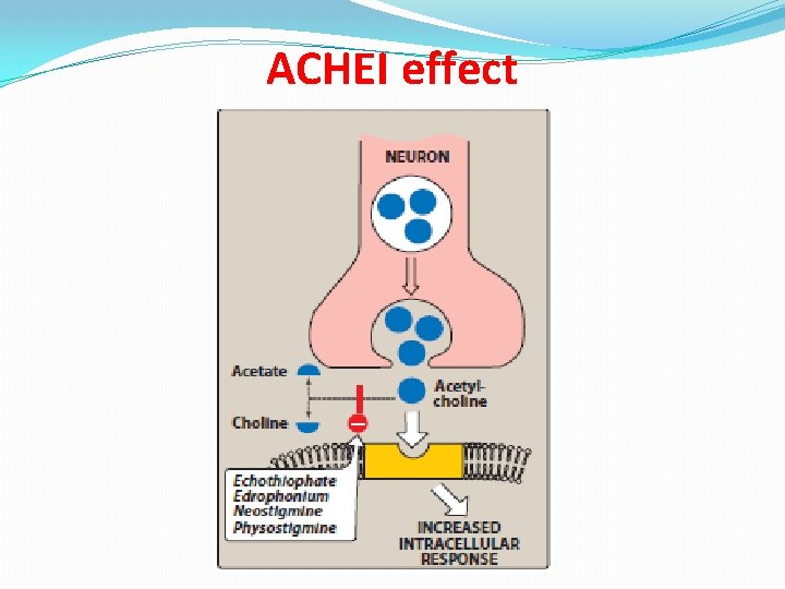 ACHEI effect 