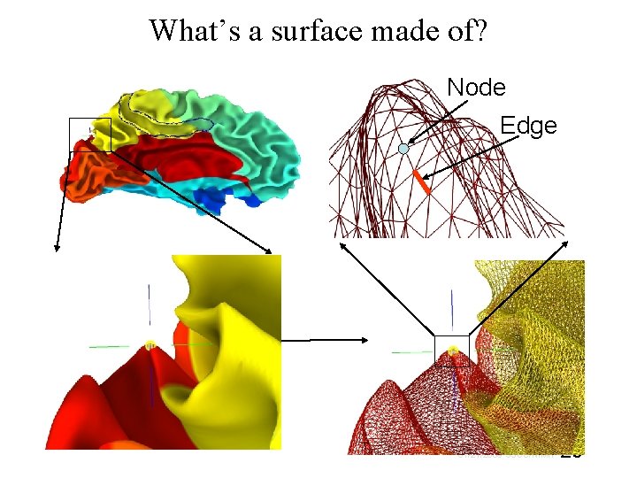 What’s a surface made of? Node Edge 01/21/2009 SSCC/NIMH 20 