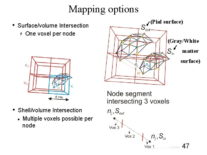 Mapping options • Surface/volume Intersection One voxel per node (Pial surface) (Gray/White matter surface)