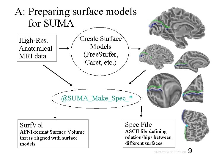 A: Preparing surface models for SUMA High-Res. Anatomical MRI data Create Surface Models (Free.