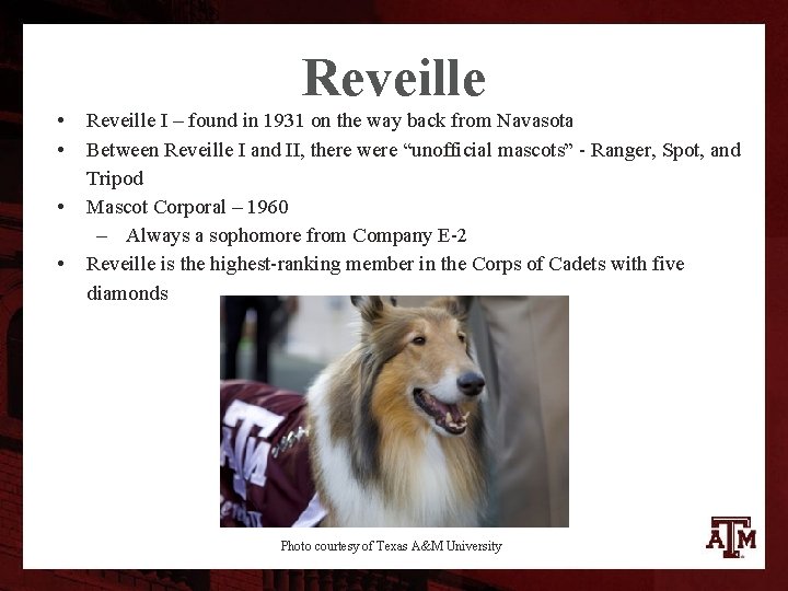Reveille • • Reveille I – found in 1931 on the way back from