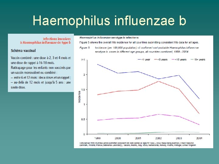 Haemophilus influenzae b 