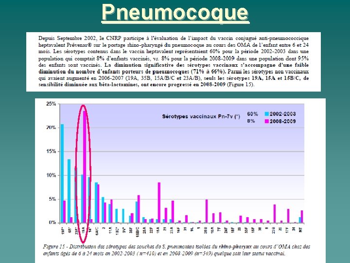 Pneumocoque 