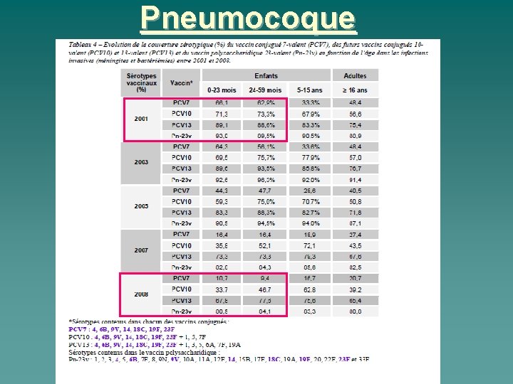 Pneumocoque 