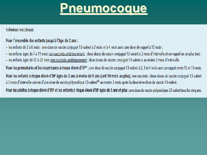 Pneumocoque 