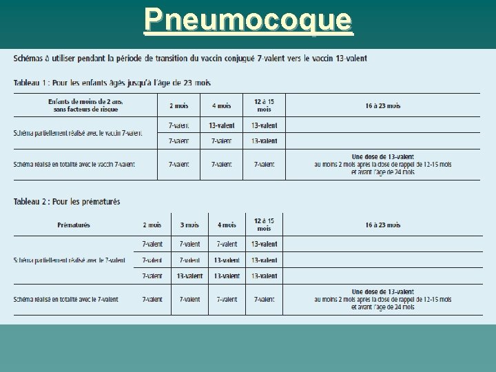 Pneumocoque 