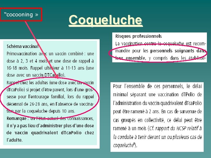 “cocooning » Coqueluche 