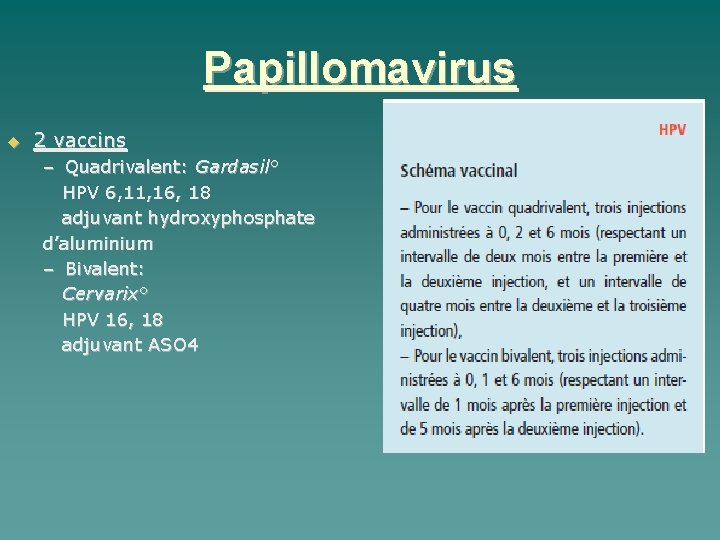 Papillomavirus 2 vaccins – Quadrivalent: Gardasil° HPV 6, 11, 16, 18 adjuvant hydroxyphosphate d’aluminium