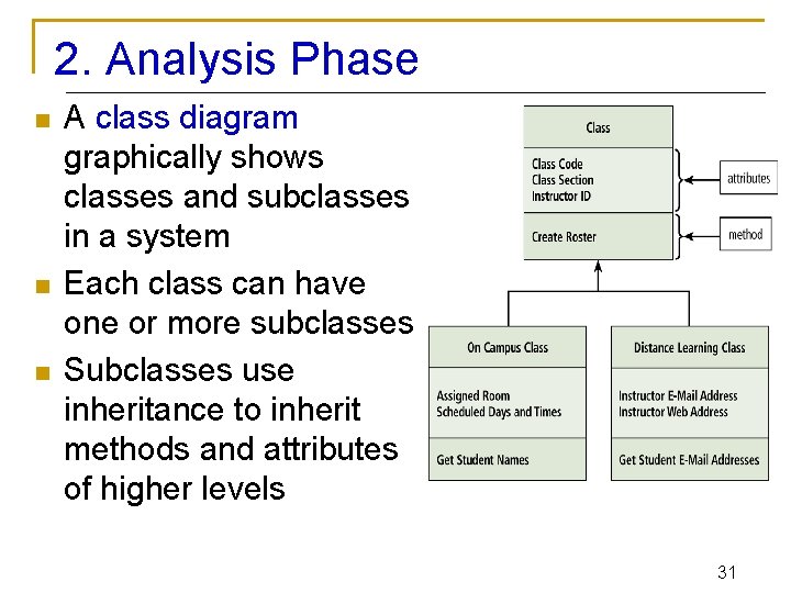 2. Analysis Phase n n n A class diagram graphically shows classes and subclasses