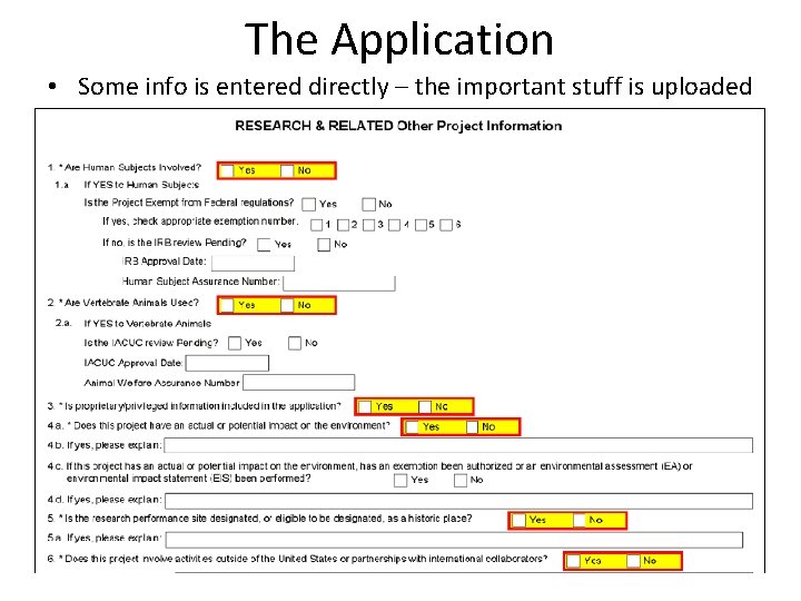 The Application • Some info is entered directly – the important stuff is uploaded