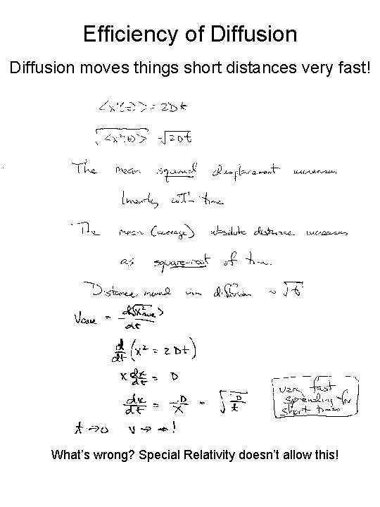 Efficiency of Diffusion moves things short distances very fast! What’s wrong? Special Relativity doesn’t