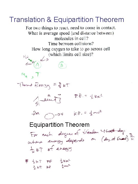 Translation & Equipartition Theorem 