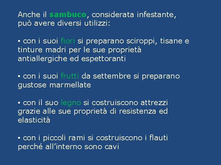 Anche il sambuco, considerata infestante, può avere diversi utilizzi: • con i suoi fiori