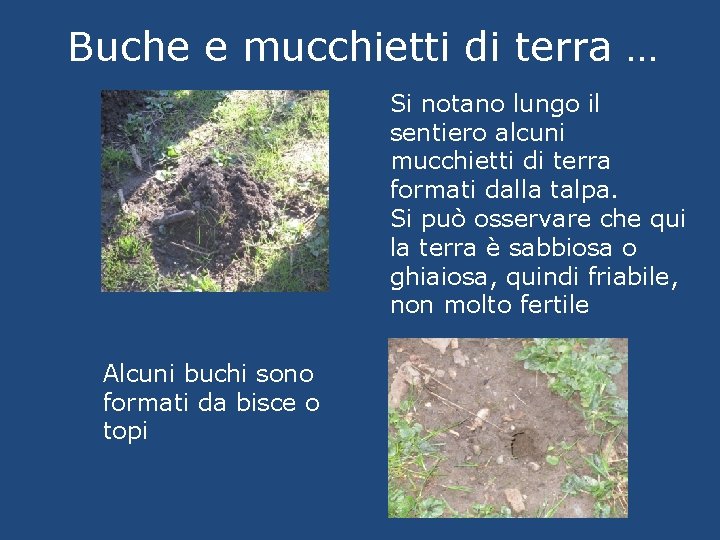 Buche e mucchietti di terra … Si notano lungo il sentiero alcuni mucchietti di