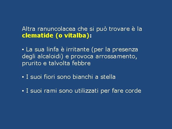 Altra ranuncolacea che si può trovare è la clematide (o vitalba): • La sua