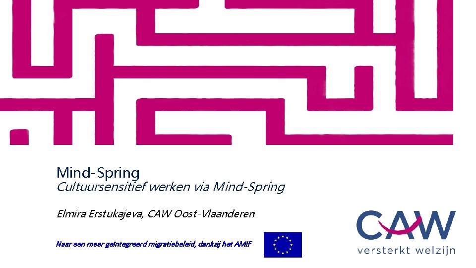 Mind-Spring Cultuursensitief werken via Mind-Spring Elmira Erstukajeva, CAW Oost-Vlaanderen Naar een meer geïntegreerd migratiebeleid,