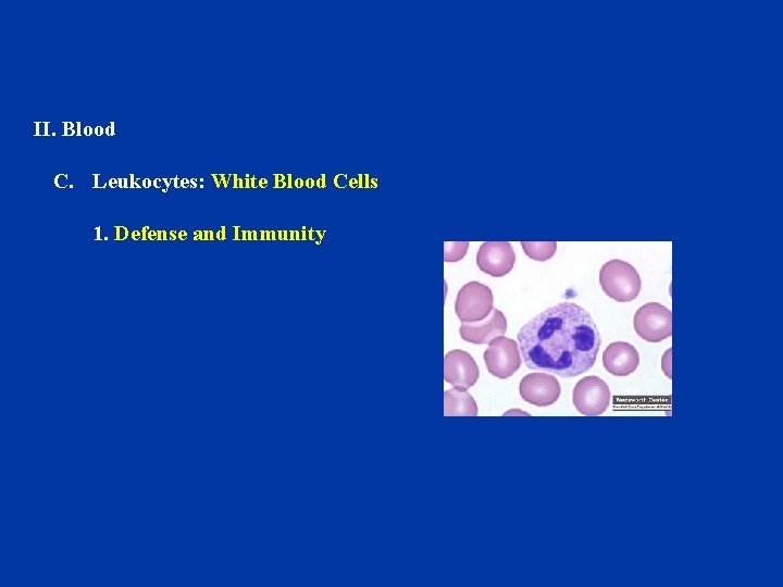 II. Blood C. Leukocytes: White Blood Cells 1. Defense and Immunity 