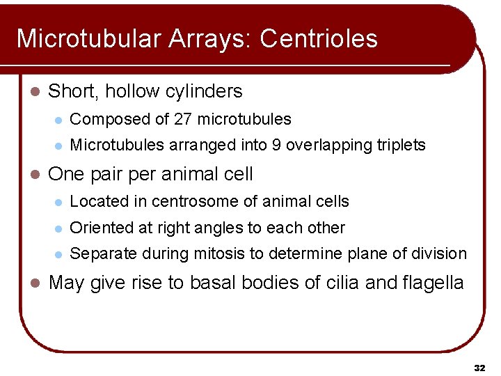 Microtubular Arrays: Centrioles l l l Short, hollow cylinders l Composed of 27 microtubules