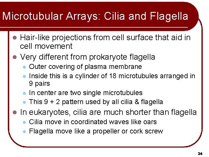 Microtubular Arrays: Cilia and Flagella Hair-like projections from cell surface that aid in cell