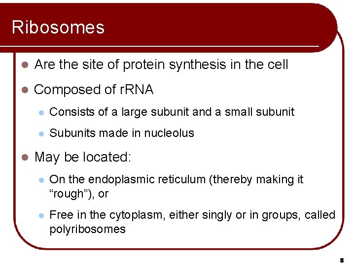 Ribosomes l Are the site of protein synthesis in the cell l Composed of