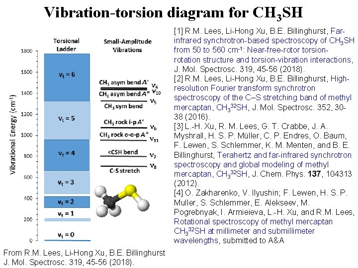 Vibrationtorsionrotation interactions in molecules with a C 3