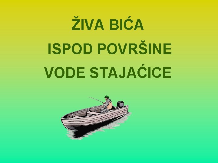 ŽIVA BIĆA ISPOD POVRŠINE VODE STAJAĆICE 