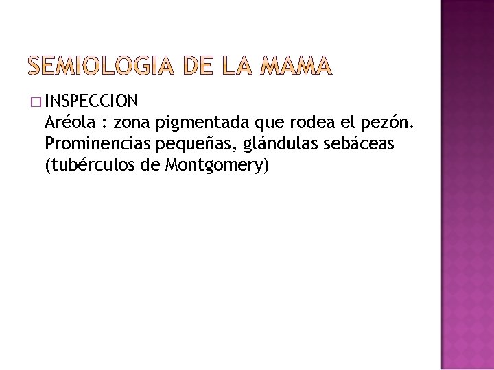 � INSPECCION Aréola : zona pigmentada que rodea el pezón. Prominencias pequeñas, glándulas sebáceas