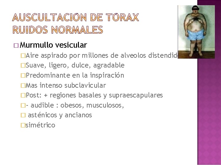 � Murmullo �Aire vesicular aspirado por millones de alveolos distendidos �Suave, ligero, dulce, agradable