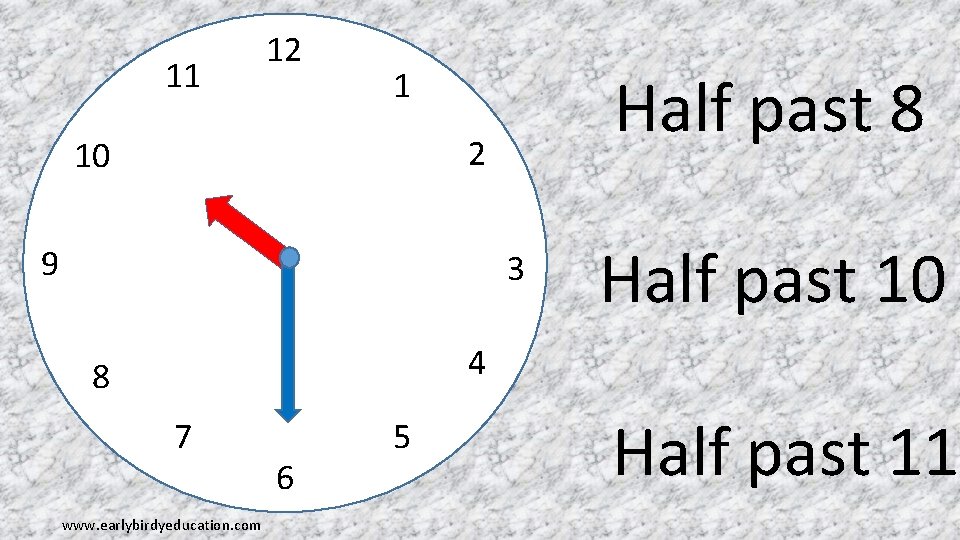 11 12 Half past 8 1 2 10 9 3 Half past 10 4