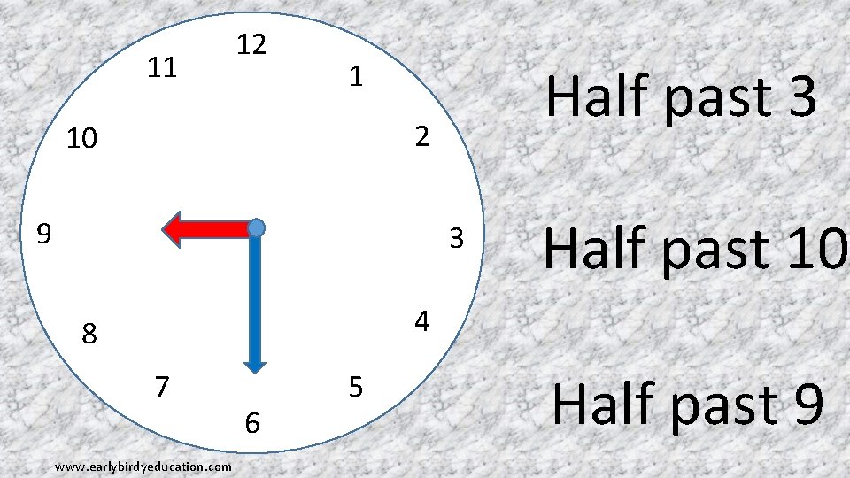 11 12 Half past 3 1 2 10 9 3 Half past 10 4