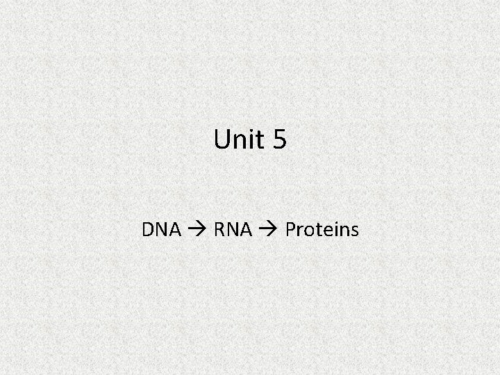 Unit 5 DNA RNA Proteins 