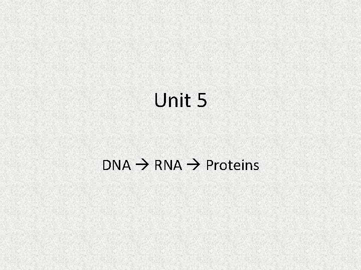 Unit 5 DNA RNA Proteins 