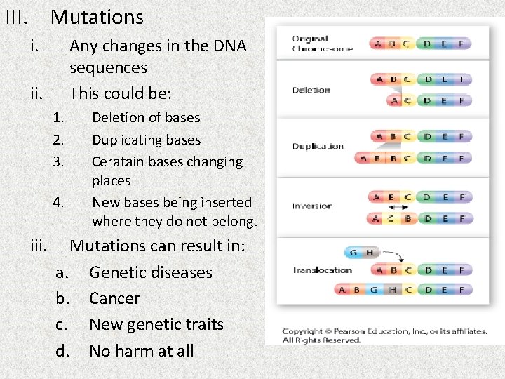 III. Mutations i. Any changes in the DNA sequences This could be: ii. 1.