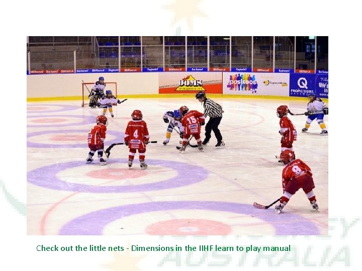 Check out the little nets - Dimensions in the IIHF learn to play manual
