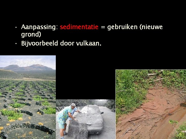  • Aanpassing: sedimentatie = gebruiken (nieuwe grond) • Bijvoorbeeld door vulkaan. 24 -1