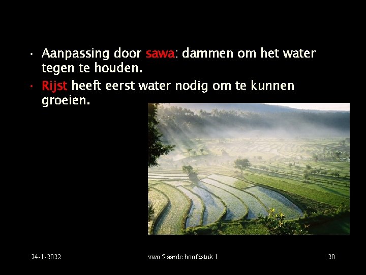  • Aanpassing door sawa: dammen om het water tegen te houden. • Rijst