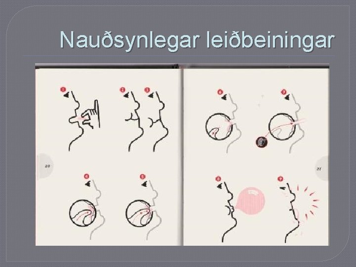 Nauðsynlegar leiðbeiningar 