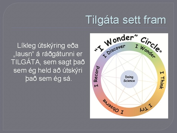 Tilgáta sett fram Líkleg útskýring eða „lausn“ á ráðgátunni er TILGÁTA, sem sagt það