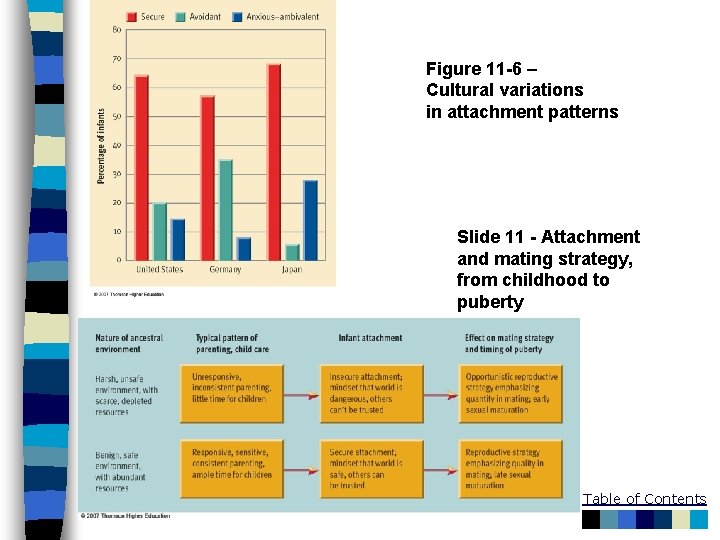 Figure 11 -6 – Cultural variations in attachment patterns Slide 11 - Attachment and