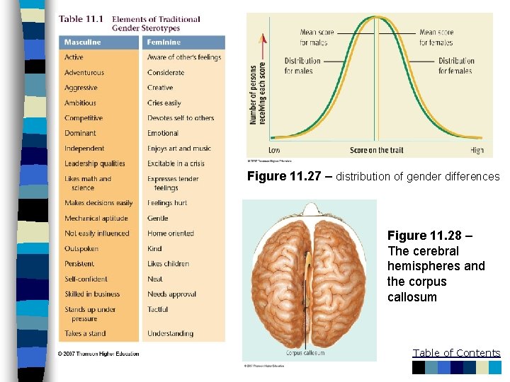 Figure 11. 27 – distribution of gender differences Figure 11. 28 – The cerebral