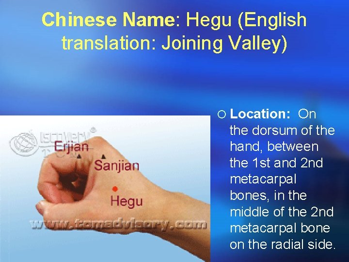 Chinese Name: Hegu (English translation: Joining Valley) ¡ Location: On the dorsum of the