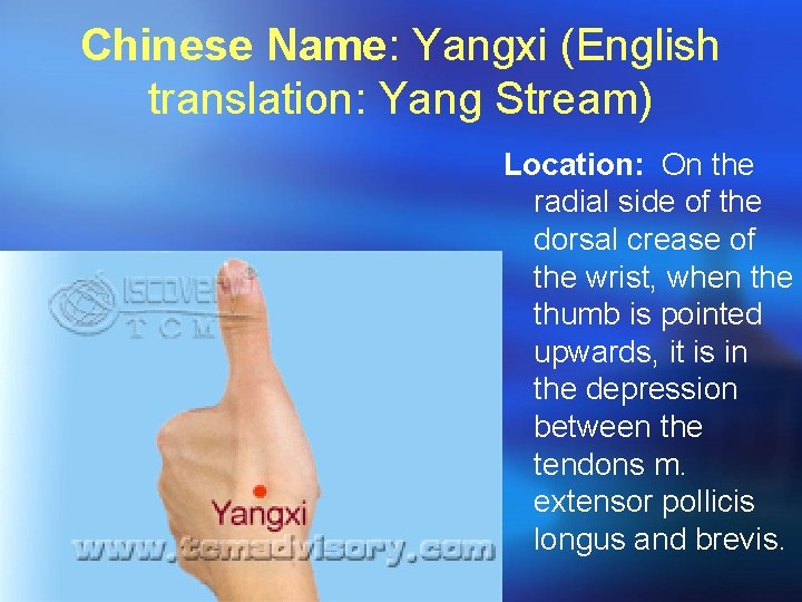 Chinese Name: Yangxi (English translation: Yang Stream) Location: On the radial side of the