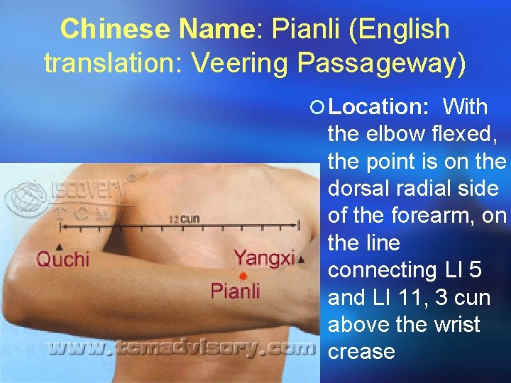 Chinese Name: Pianli (English translation: Veering Passageway) ¡ Location: With the elbow flexed, the