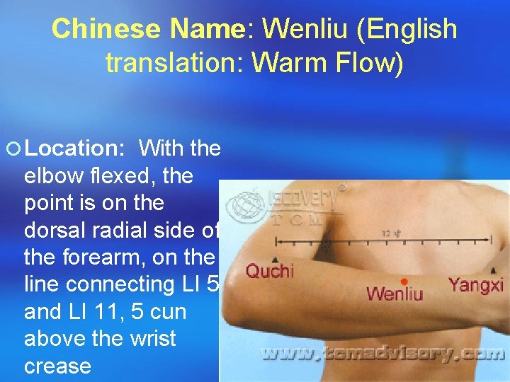 Chinese Name: Wenliu (English translation: Warm Flow) ¡ Location: With the elbow flexed, the