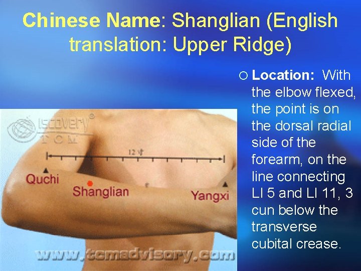Chinese Name: Shanglian (English translation: Upper Ridge) ¡ Location: With the elbow flexed, the