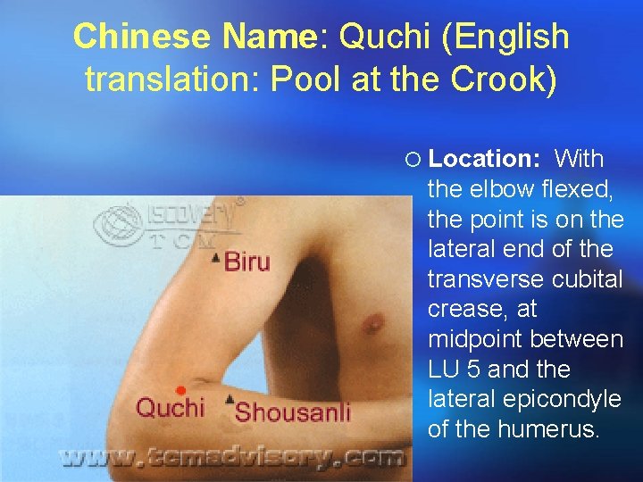 Chinese Name: Quchi (English translation: Pool at the Crook) ¡ Location: With the elbow